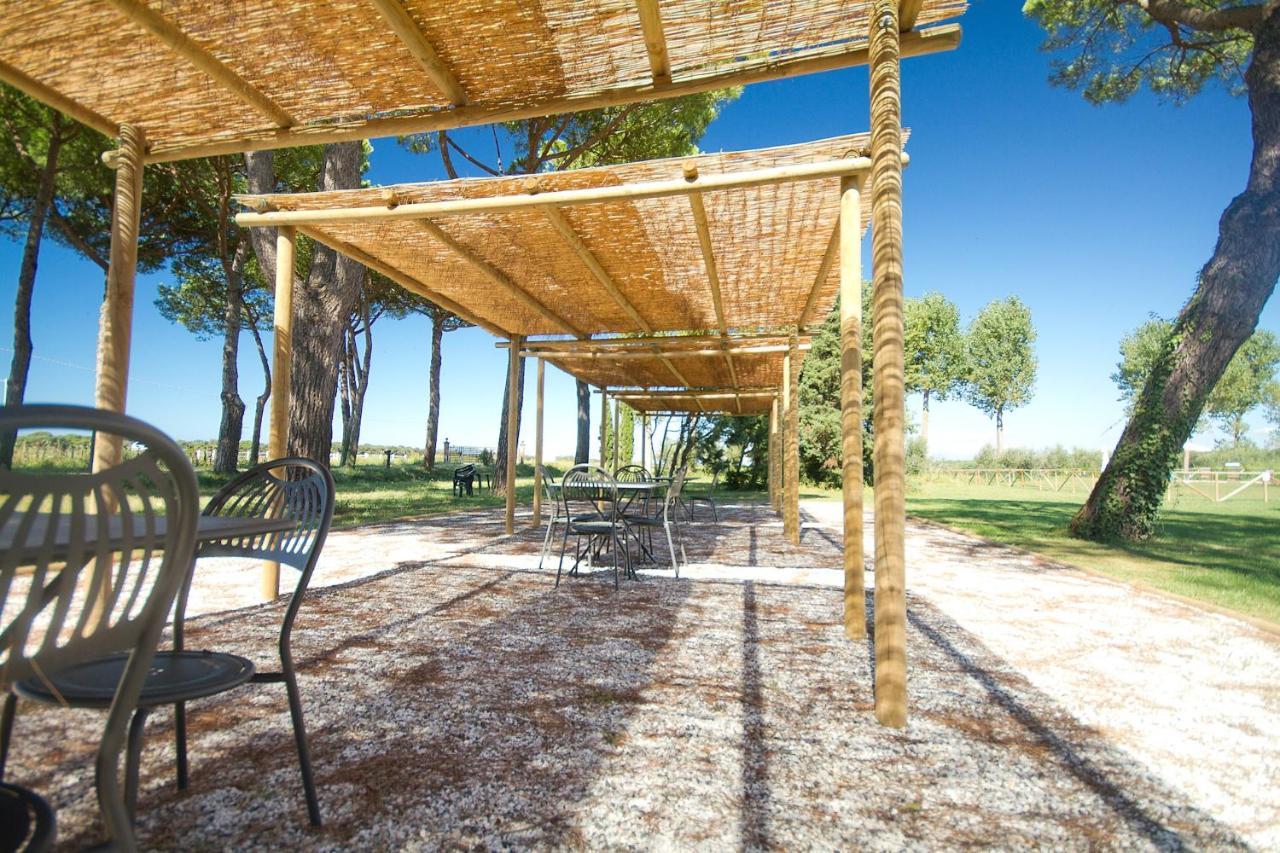 La Fattoria Di Tirrenia Lejlighedshotel Værelse billede