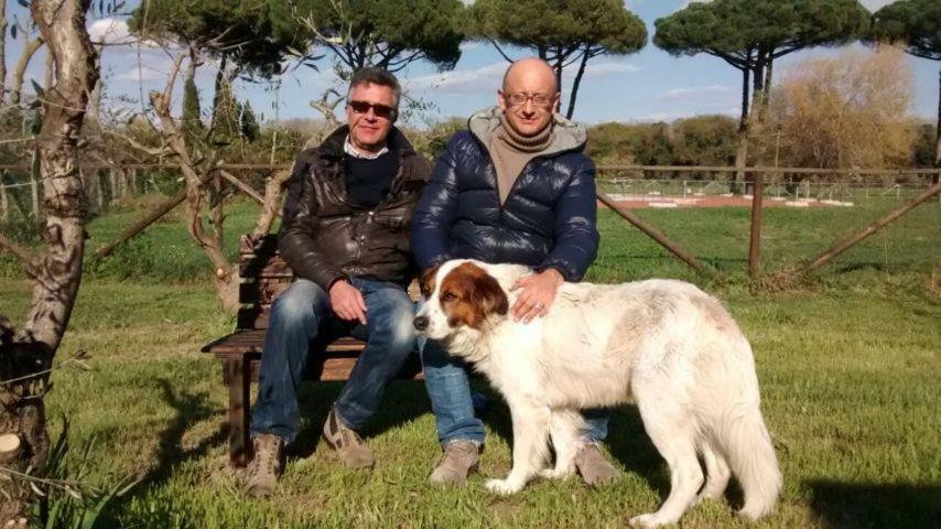 La Fattoria Di Tirrenia Lejlighedshotel Eksteriør billede