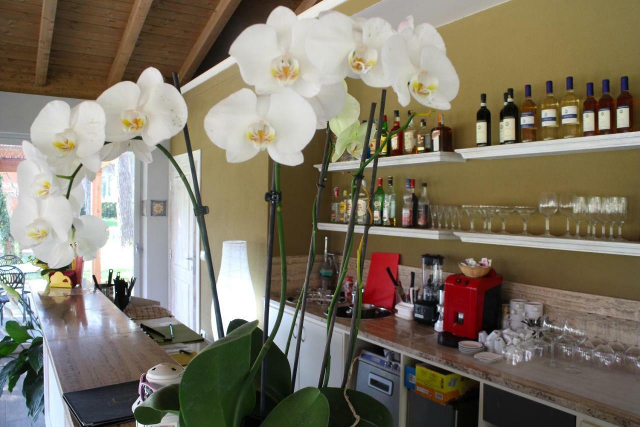 La Fattoria Di Tirrenia Lejlighedshotel Eksteriør billede
